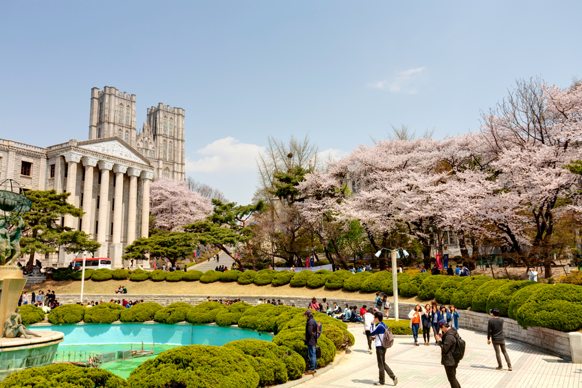 South Korea: New program aims to keep top students in South Korea