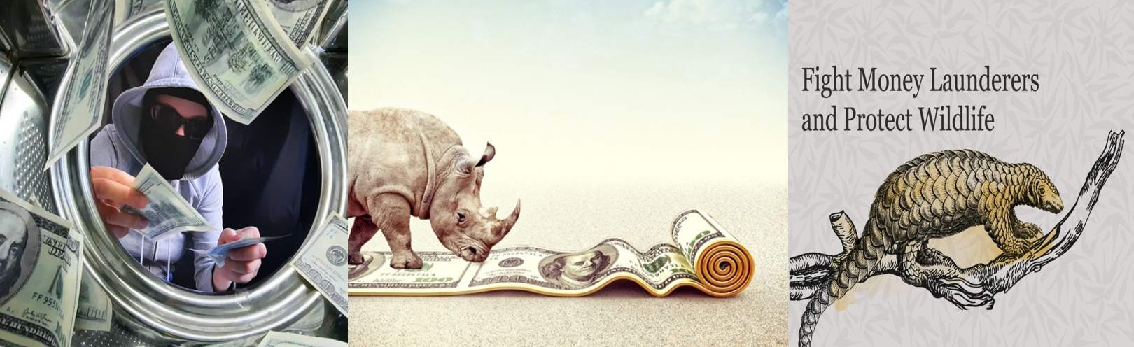 Combating  Money Laundering Associated With Wildlife Crimes In India