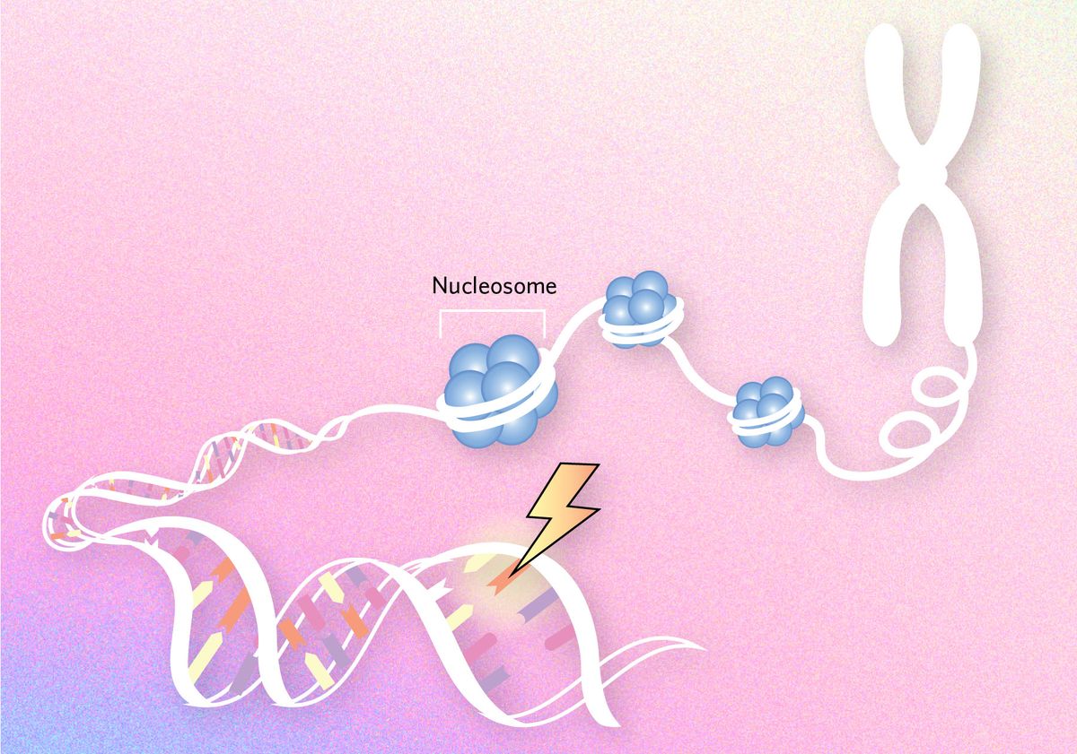 Epigenetic regulation in malignant cancer stem cells