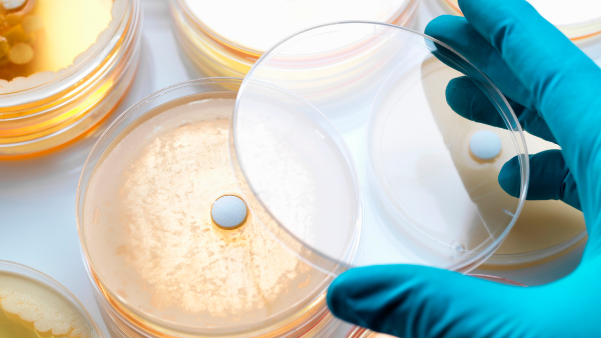 Call for papers: Antibiotic Resistance in the Environment