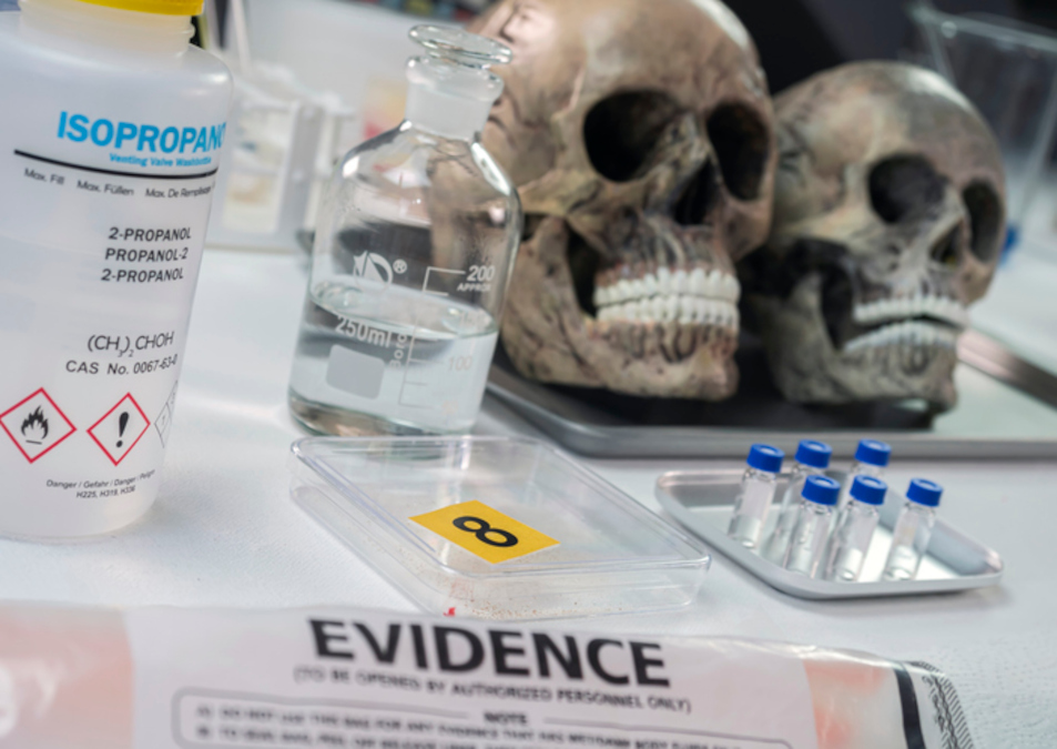 Continue exploring - Forensic dentistry