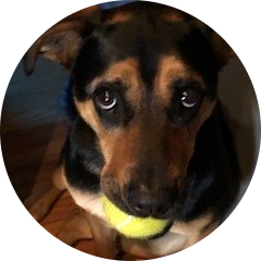 Go to the profile of Patricia Sikora