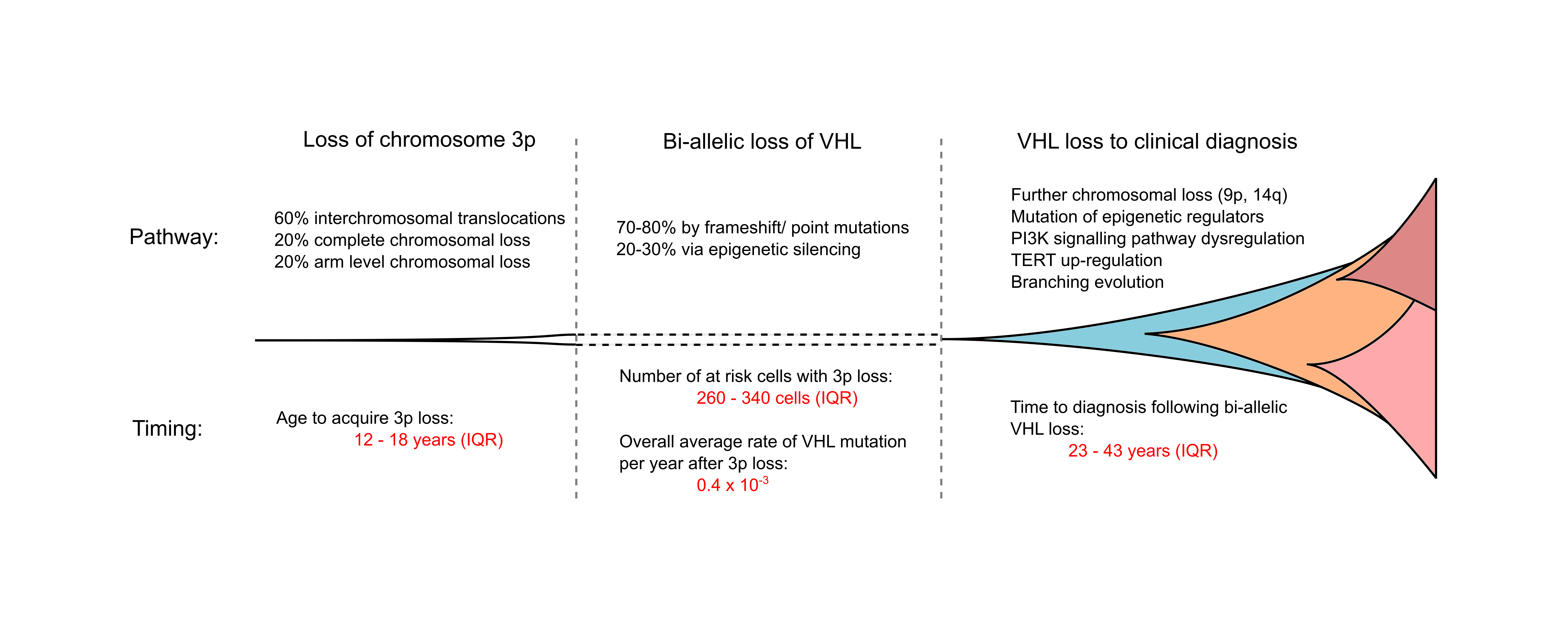 Timing cancer evolution
