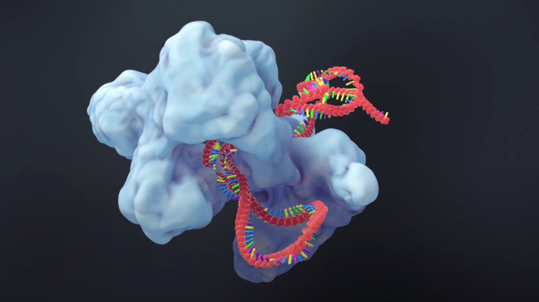 CRISPR in Nature Methods 