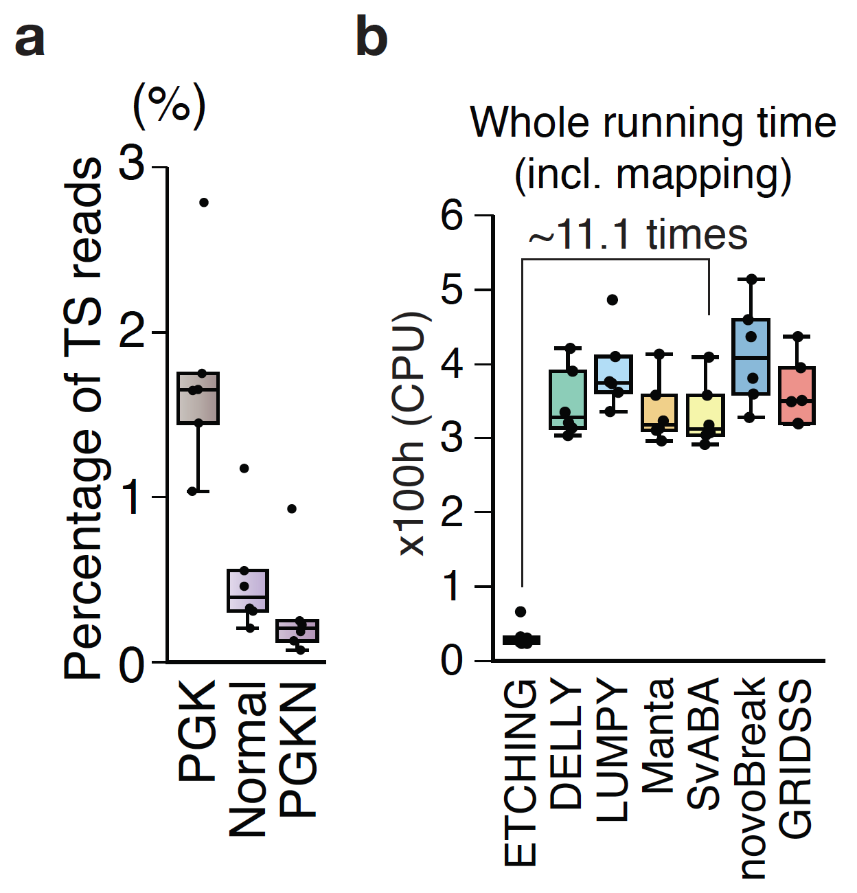 “Etching” Genomic Sequencing Reads to Develop the Fastest Structural Variation Caller
