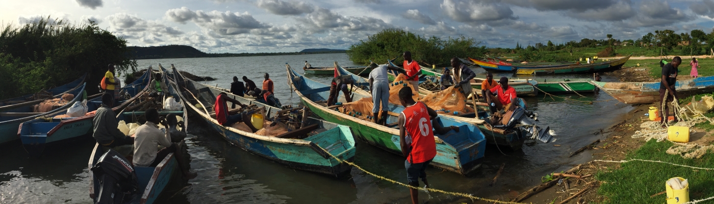 At a global scale, effects of climate and land-use changes on fish catches could be different across lakes