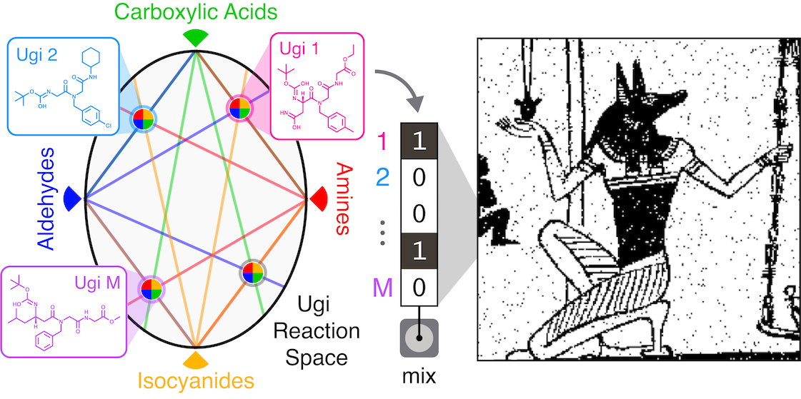 Multicomponent Molecular Memory