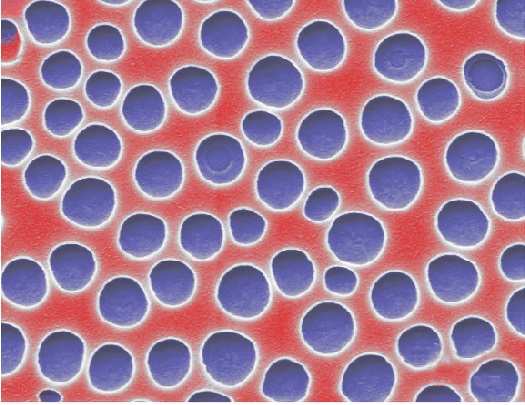 Journal Club | Printing Porous Structures