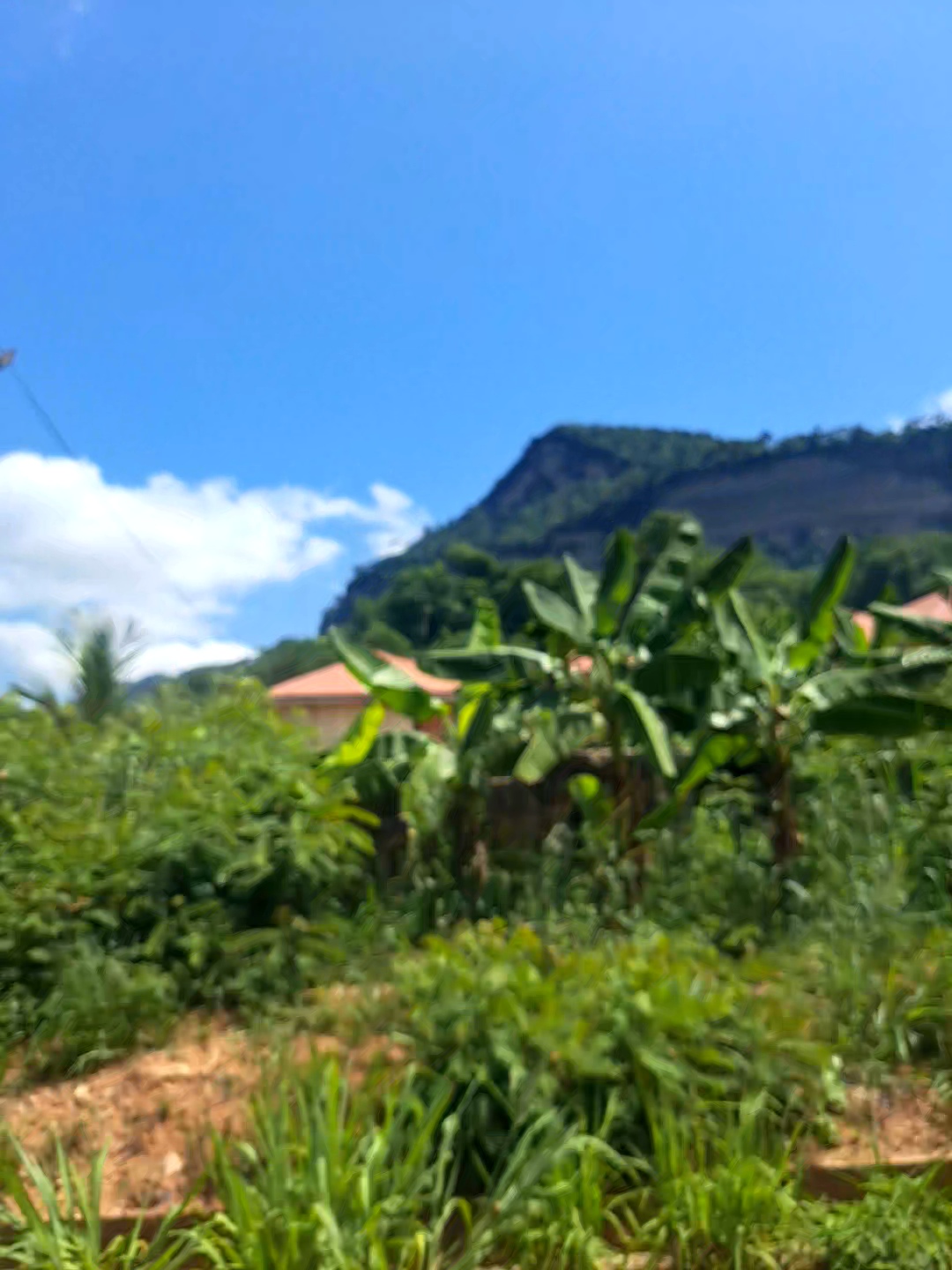 Suncream and Storytelling: My LiA Experience