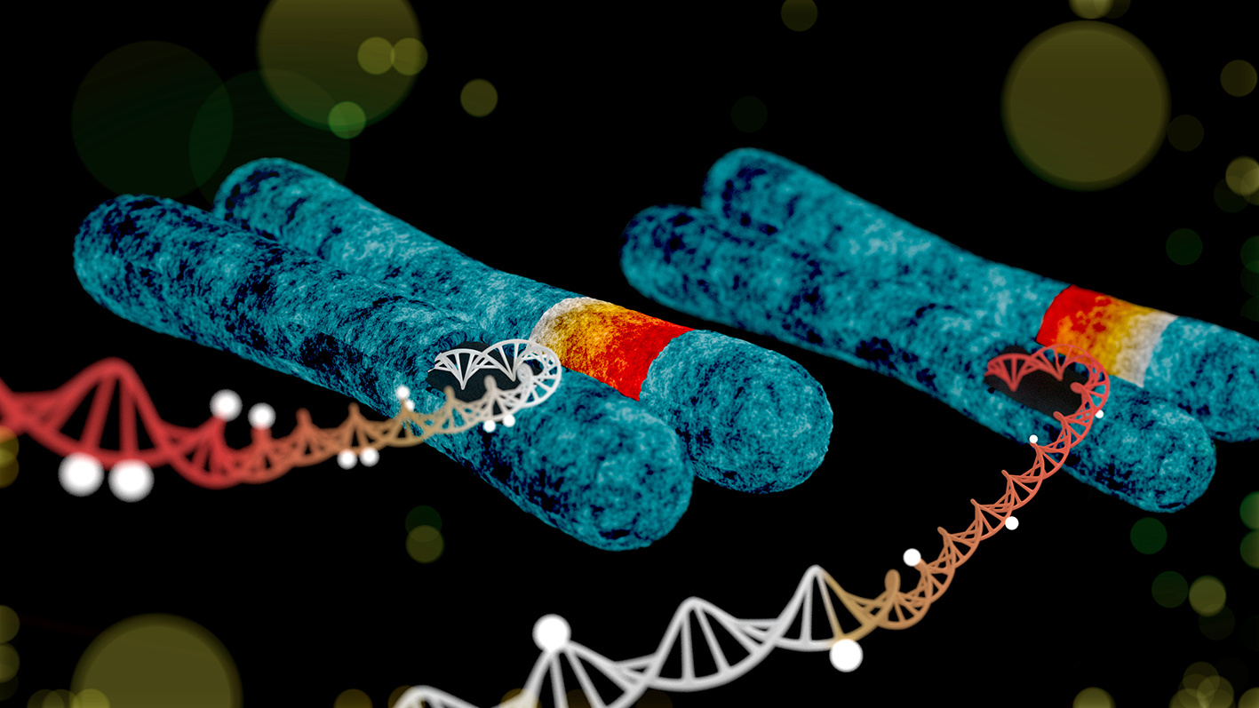 The early-life exposome modulates the effect of polymorphic inversions on DNA methylation
