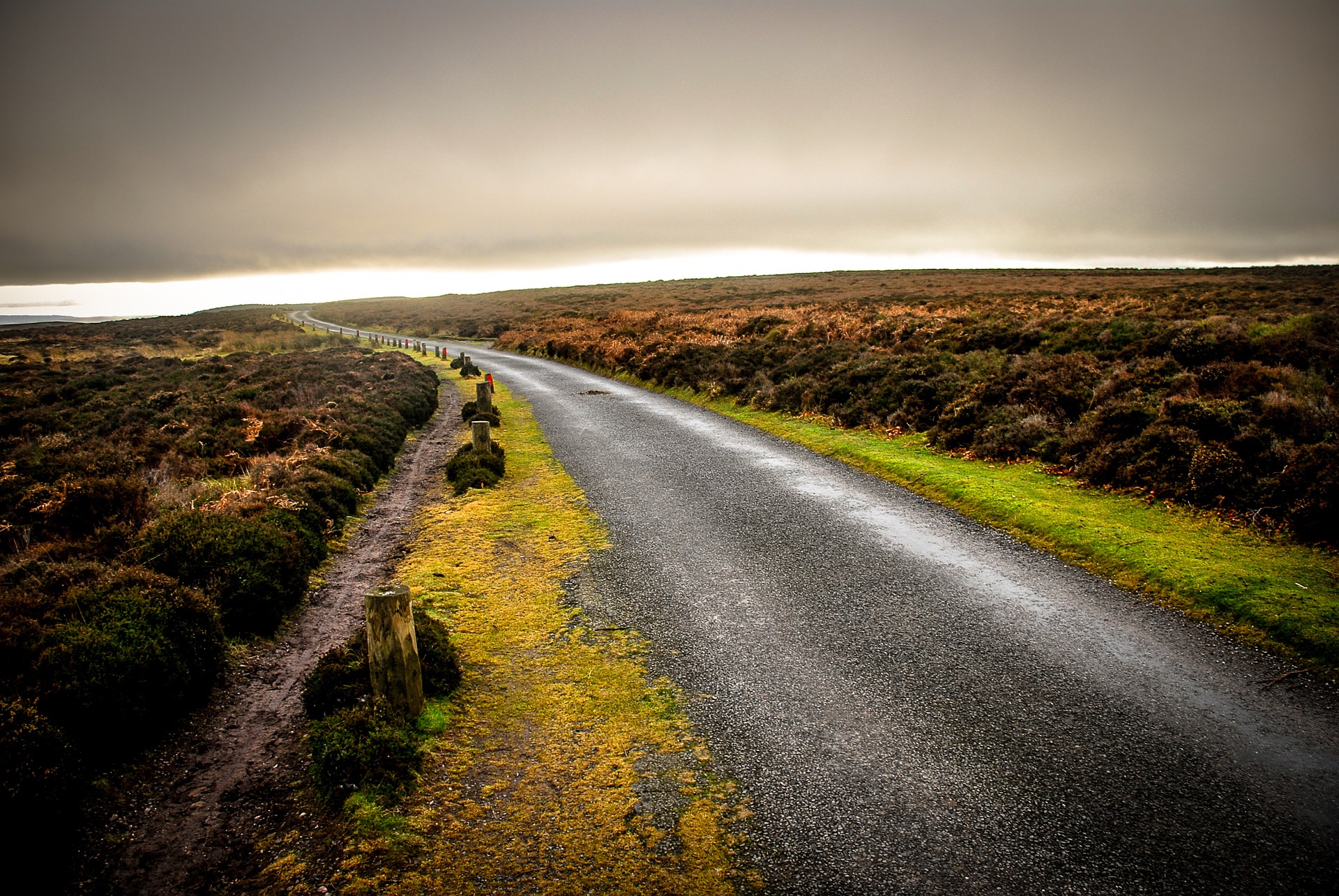 How will open data advance scientific discovery?
