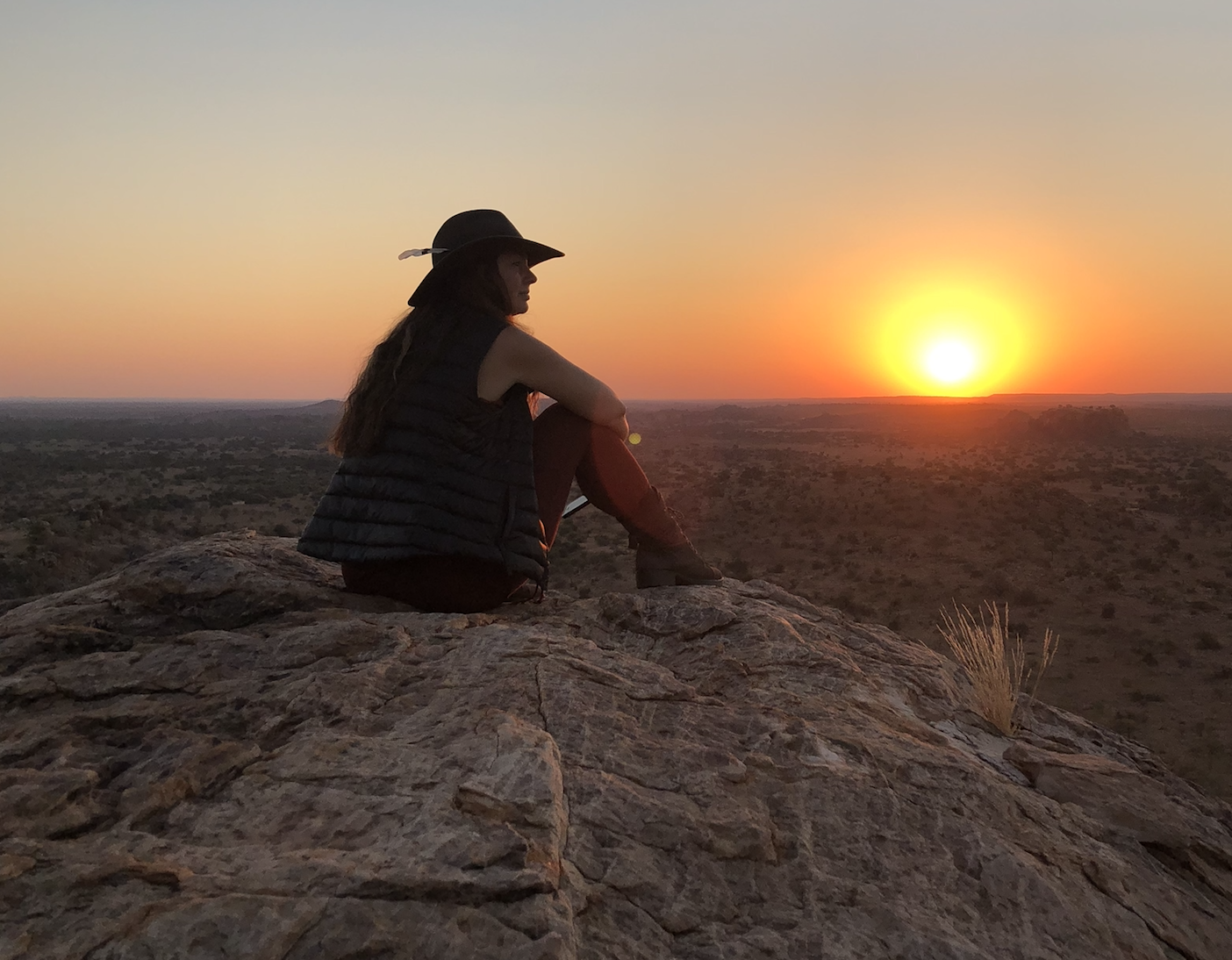 Wild Dreams: A Humble Reflection 