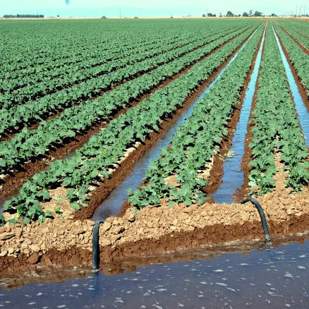 Transforming our farmlands for a drier future