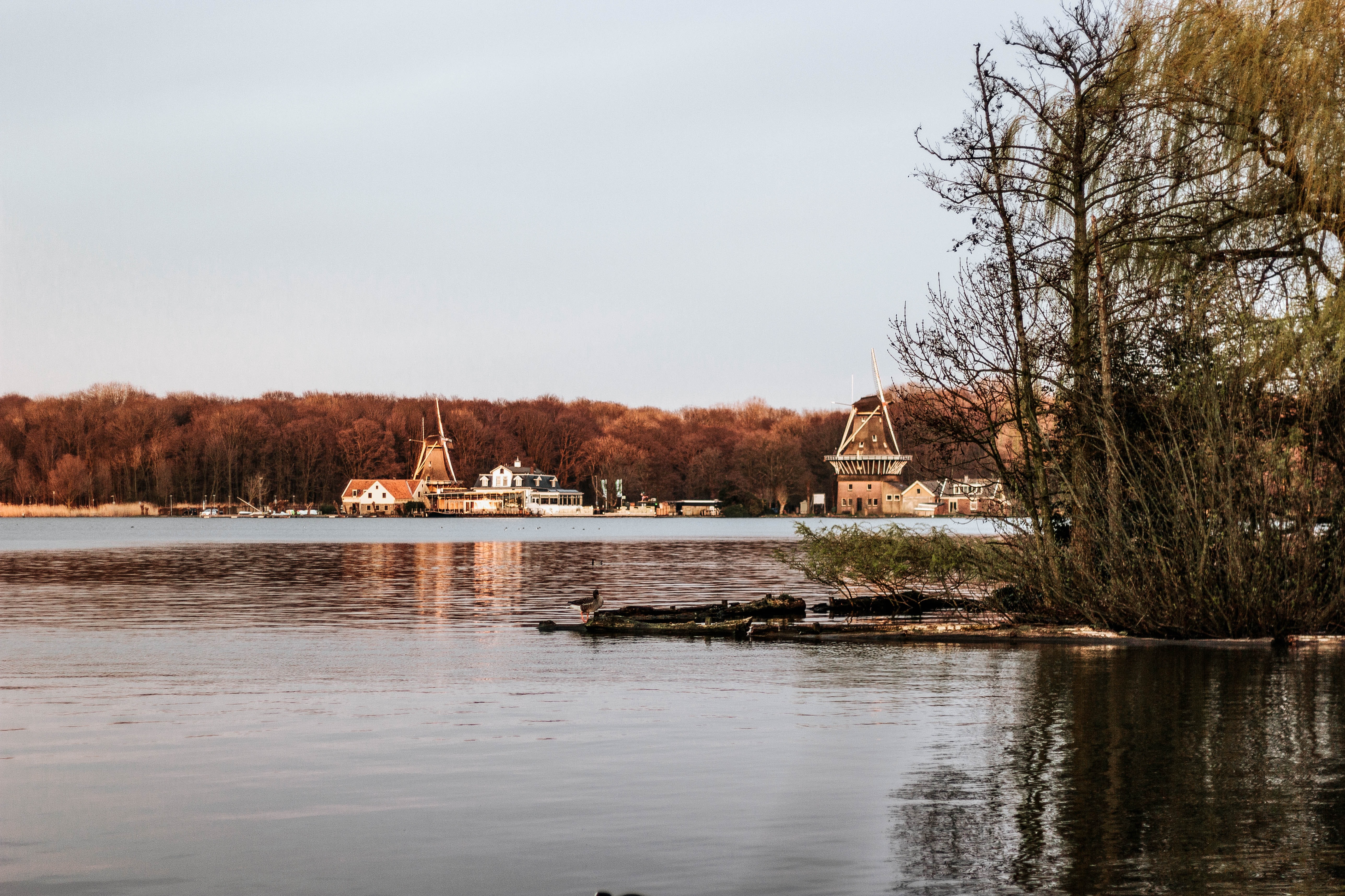 A Guide to Holiday Leave Entitlements in the Netherlands