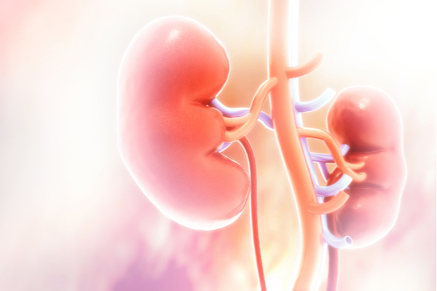 GPhC exam: pharmacokinetics and estimation of kidney function