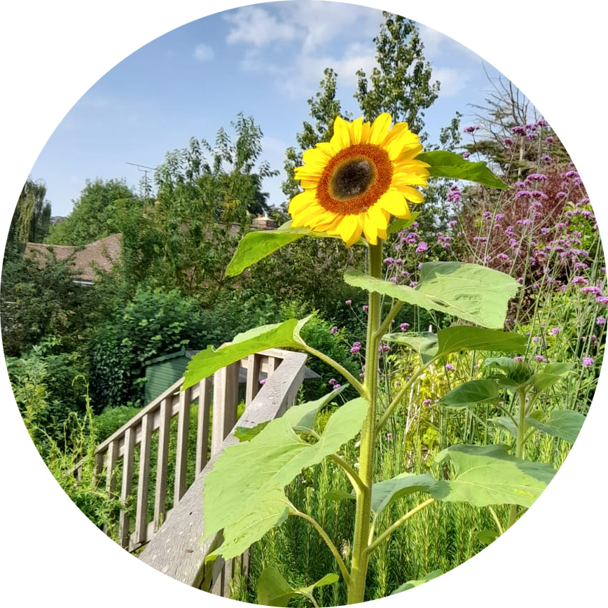 Go to the profile of Paul Dishman