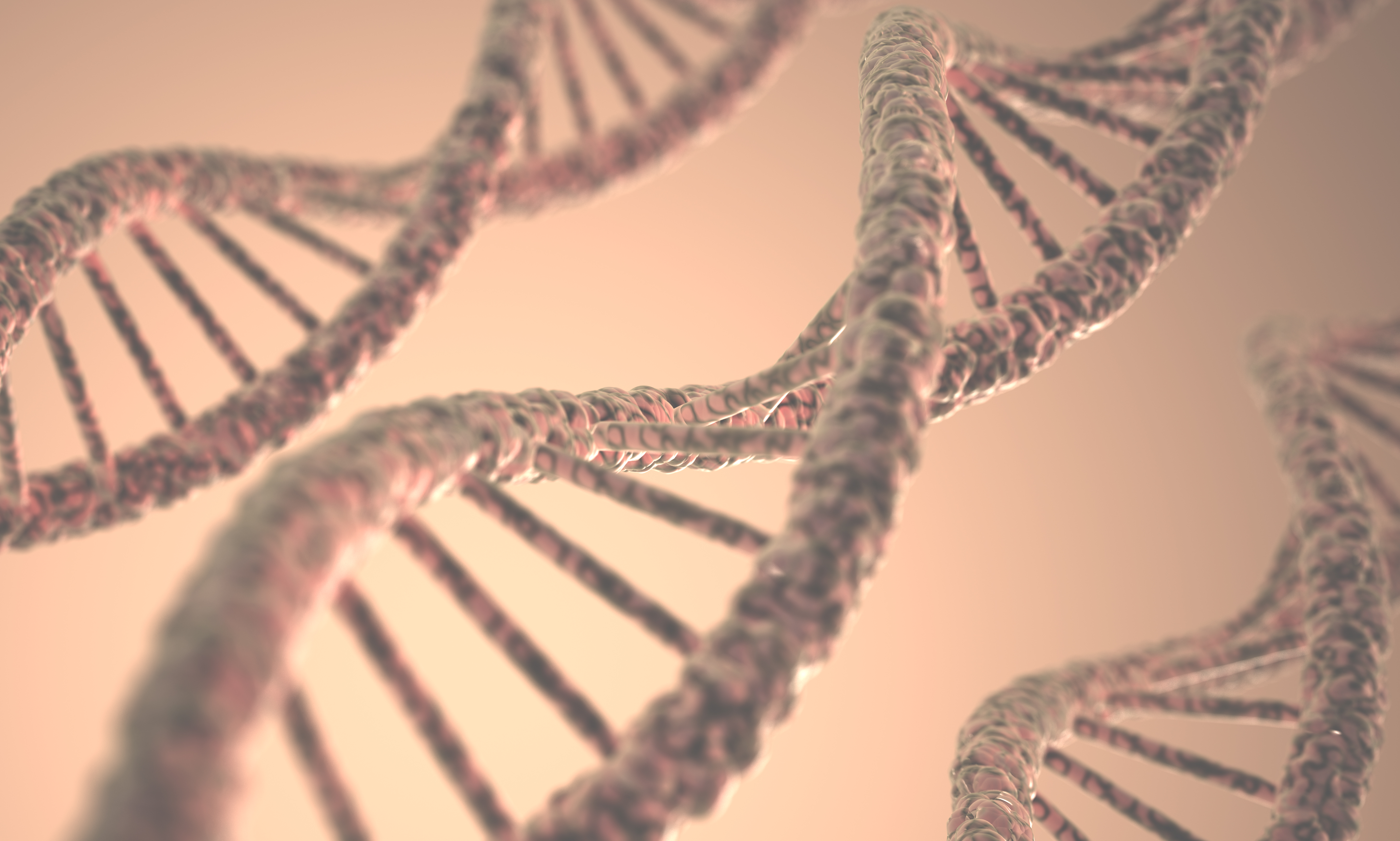 IUBMB Focused Meeting on Synthetic Biology 2027: Abstract submissions now open