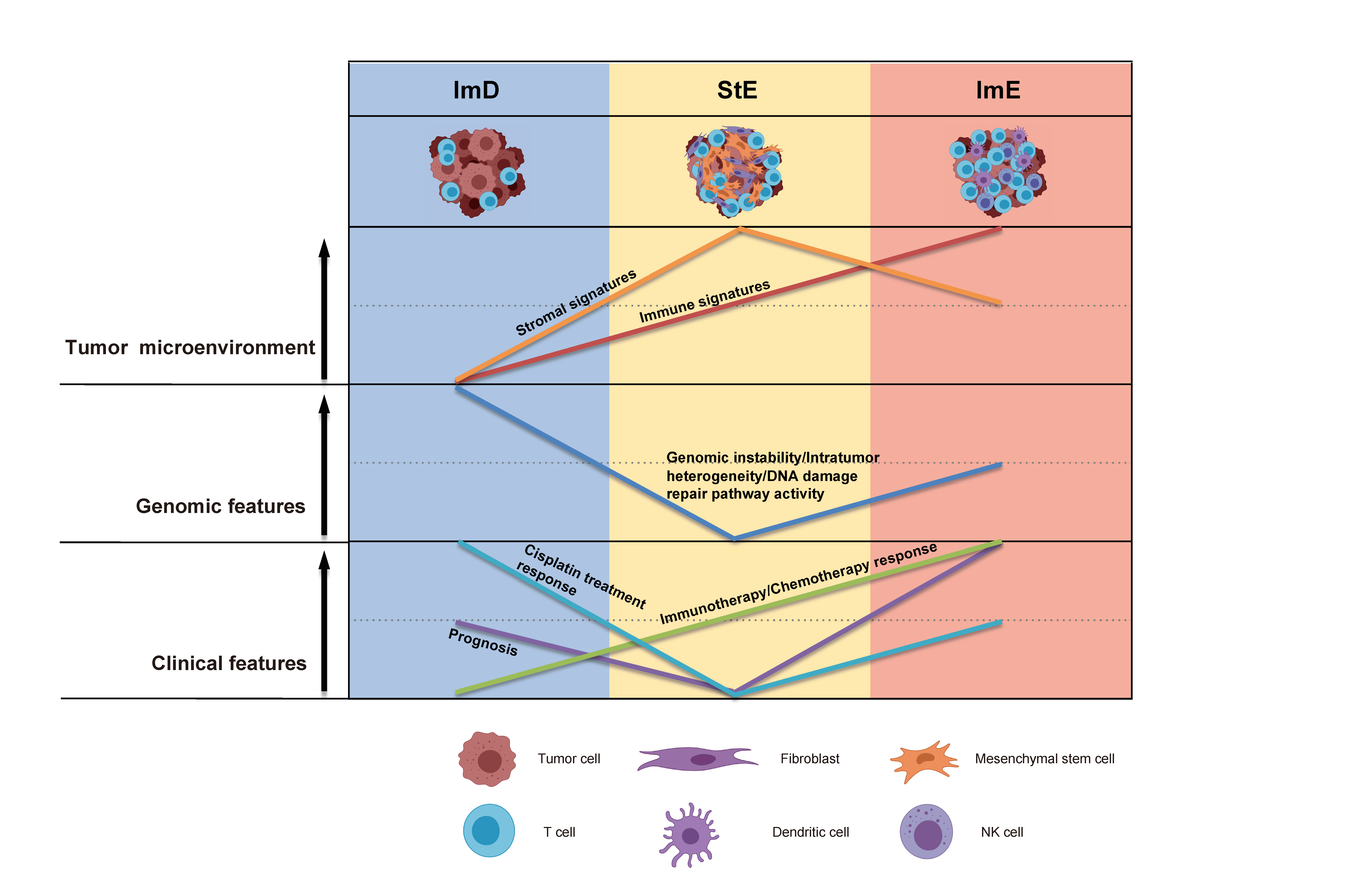 Identification of gastric cancer subtypes based on pathway clustering