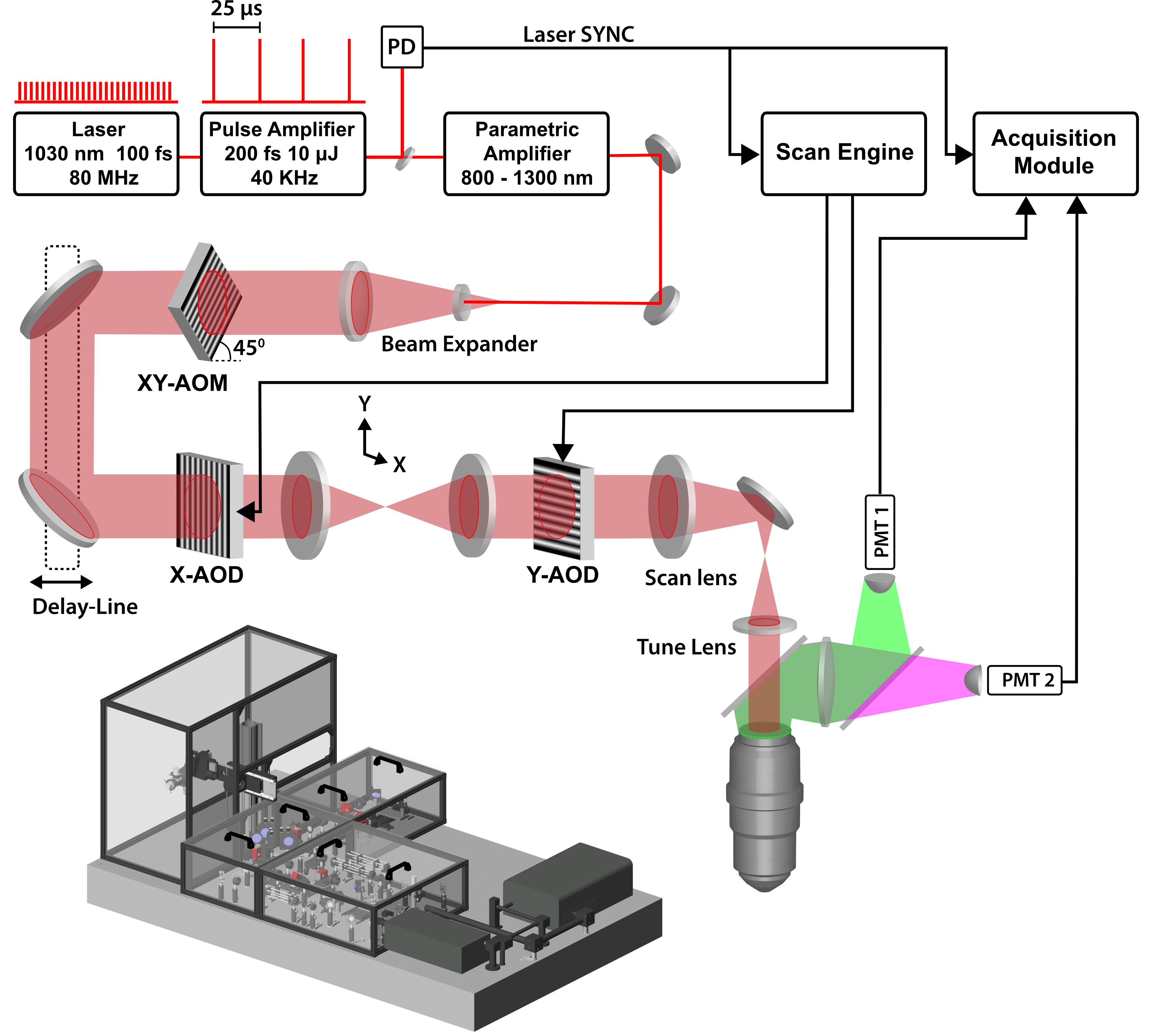 Custom-Access Serial Holography (CASH) for fast recording of neuronal activity in 3D brain circuits