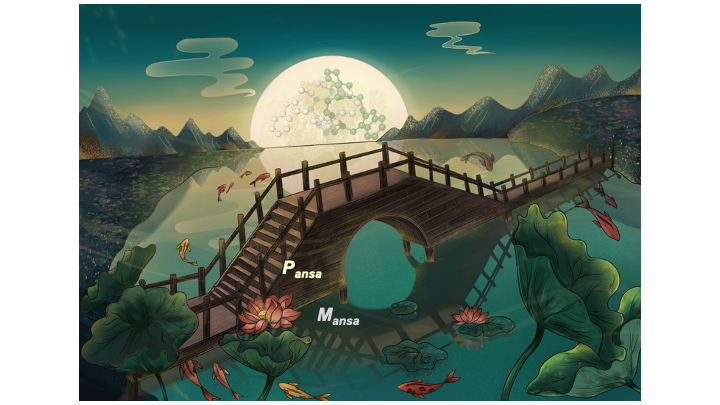 The occurrence of ansamers in the synthesis of cyclic peptides