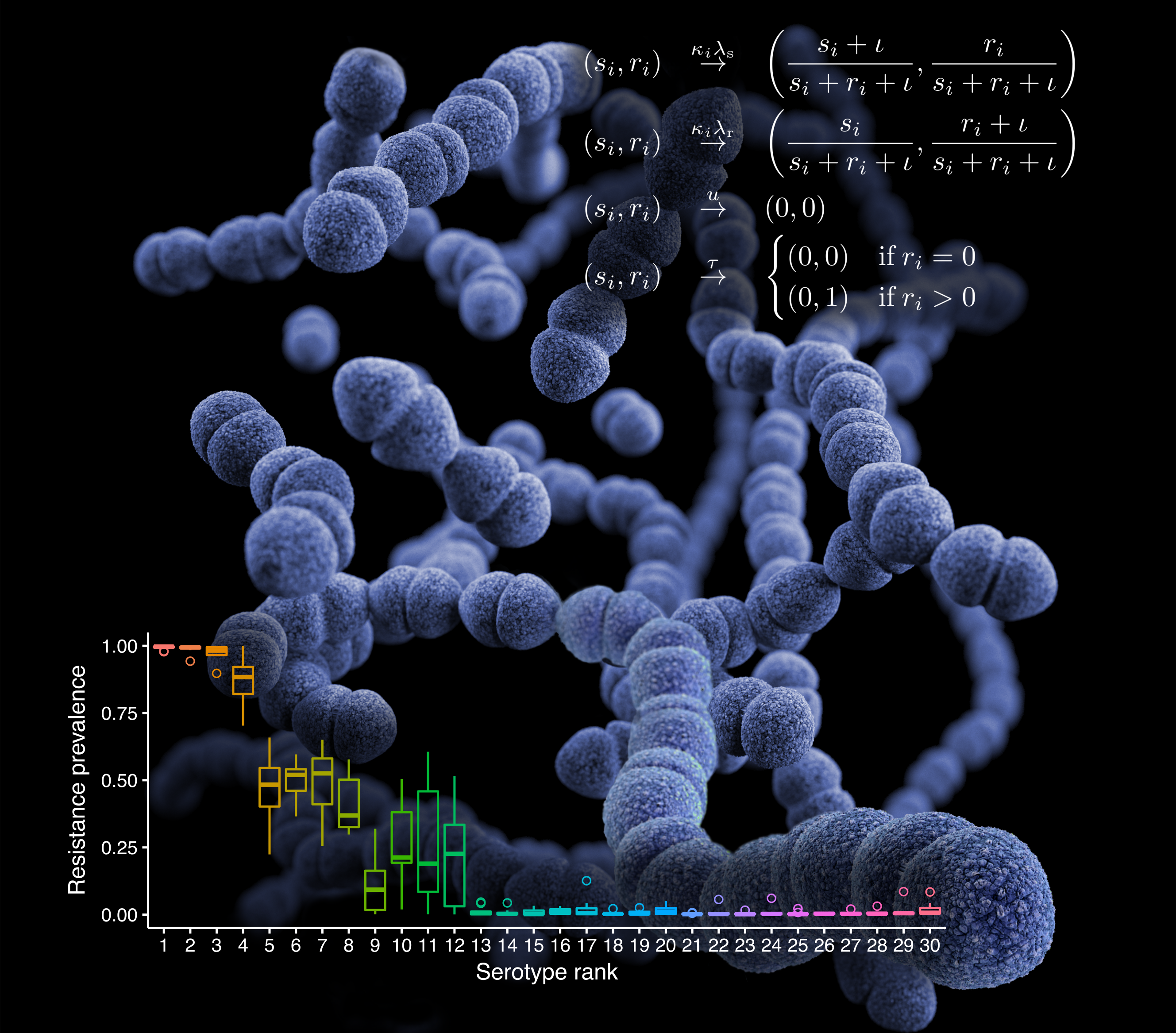 Modelling superbugs