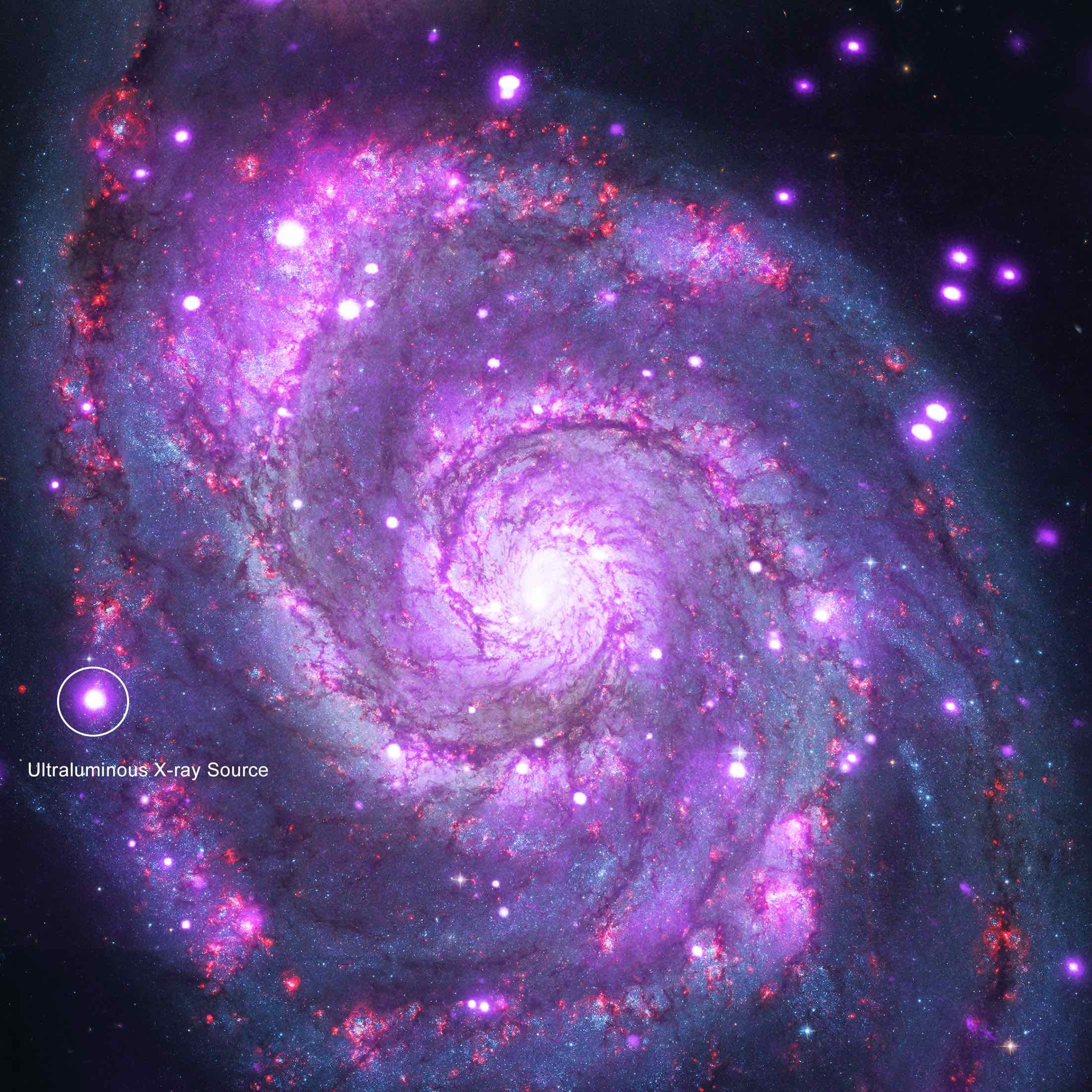 Another Extreme of Neutron Stars