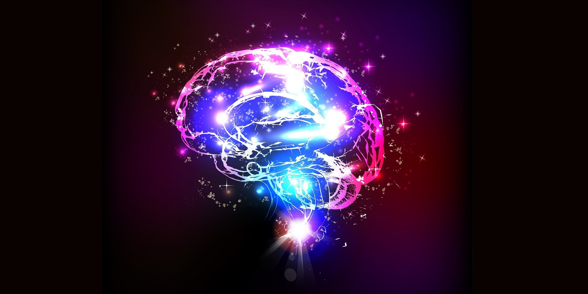 Movies offer new tool for studying adaptive brain function
