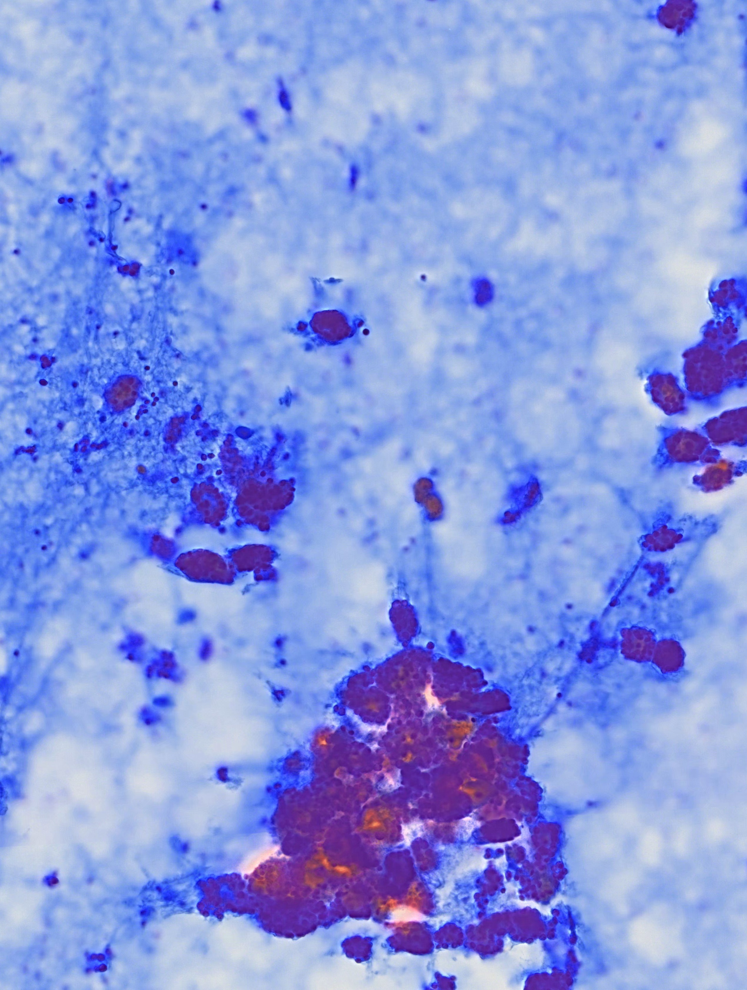 From measuring cells to making cytology more transparent