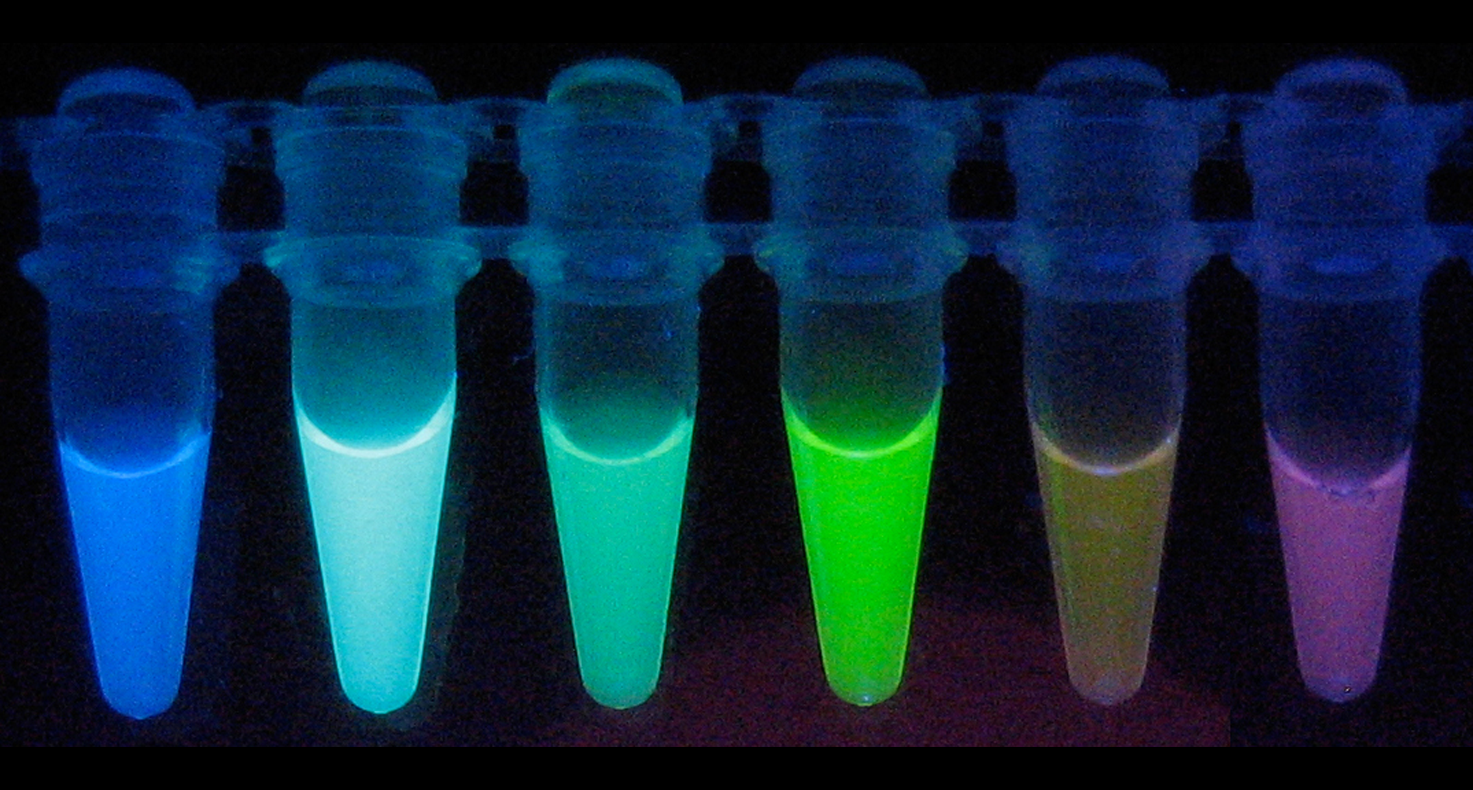 A cyan spie for salt in cells