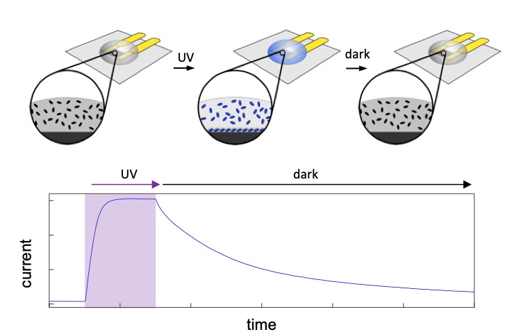 Graphene as a detective to unravel molecular self-assembly
