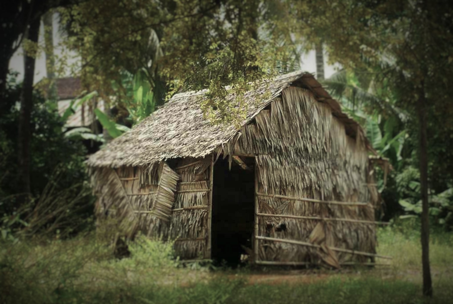 International Assignments...once upon a time