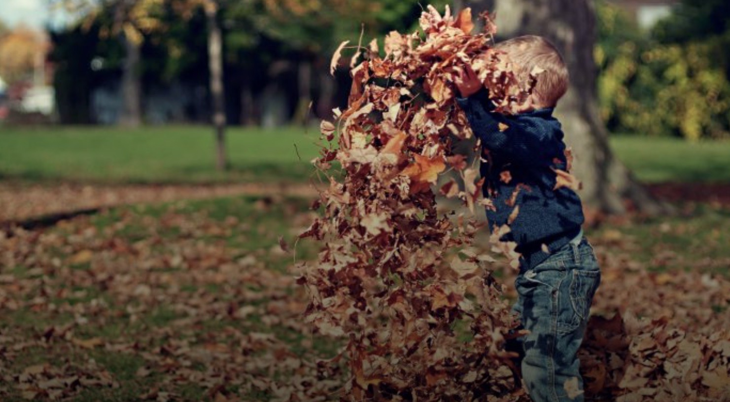 What is my child thinking?