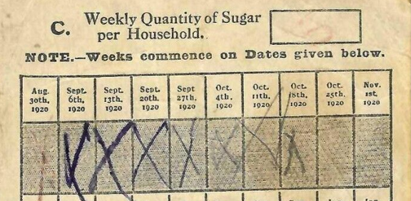 The Echo of Early Bites: Can Early-Life Sugar Exposure Shape Adult Mental Health?