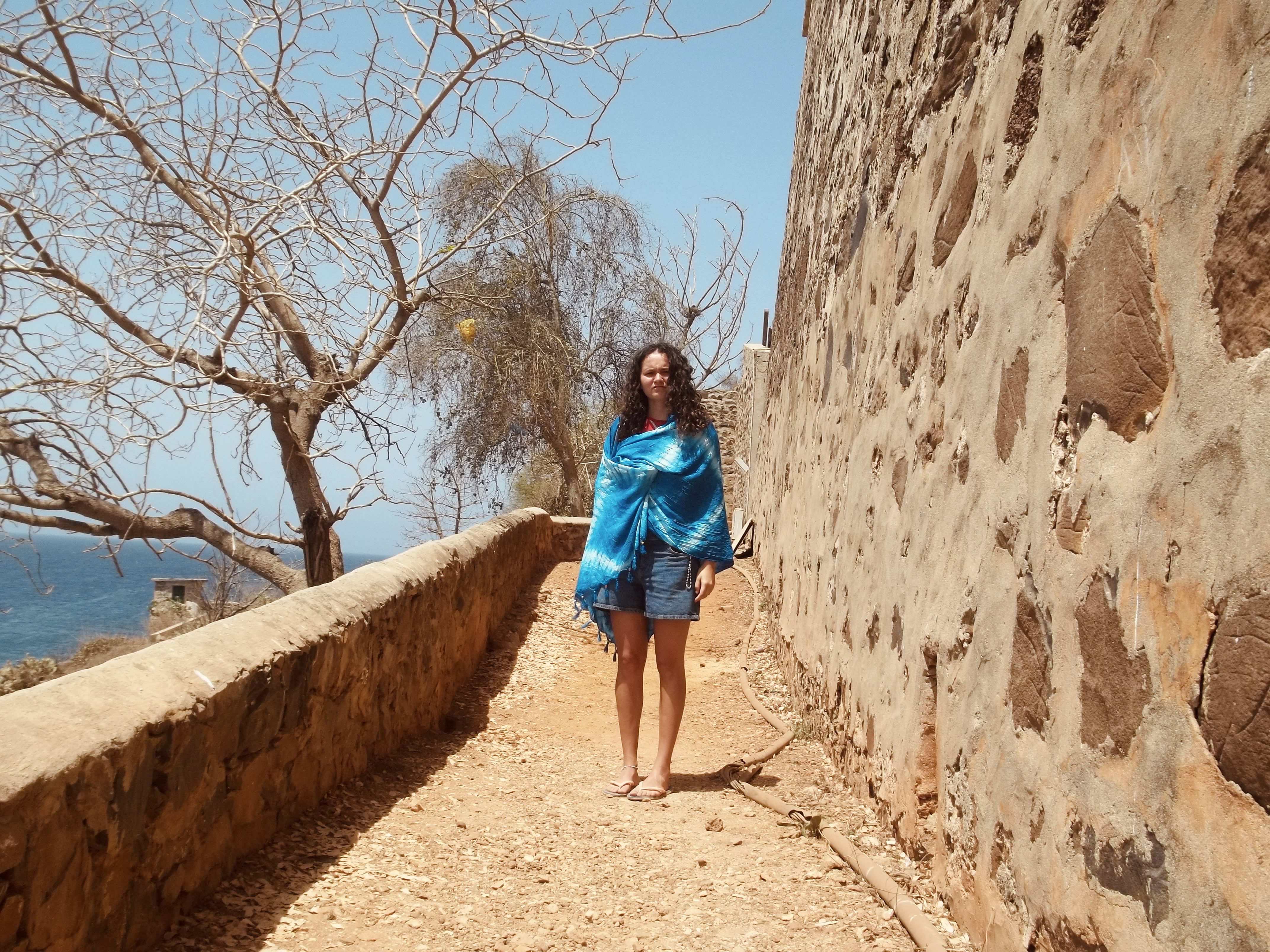 LiA Showcase: Working in Social Entrepreneurship in Senegal 