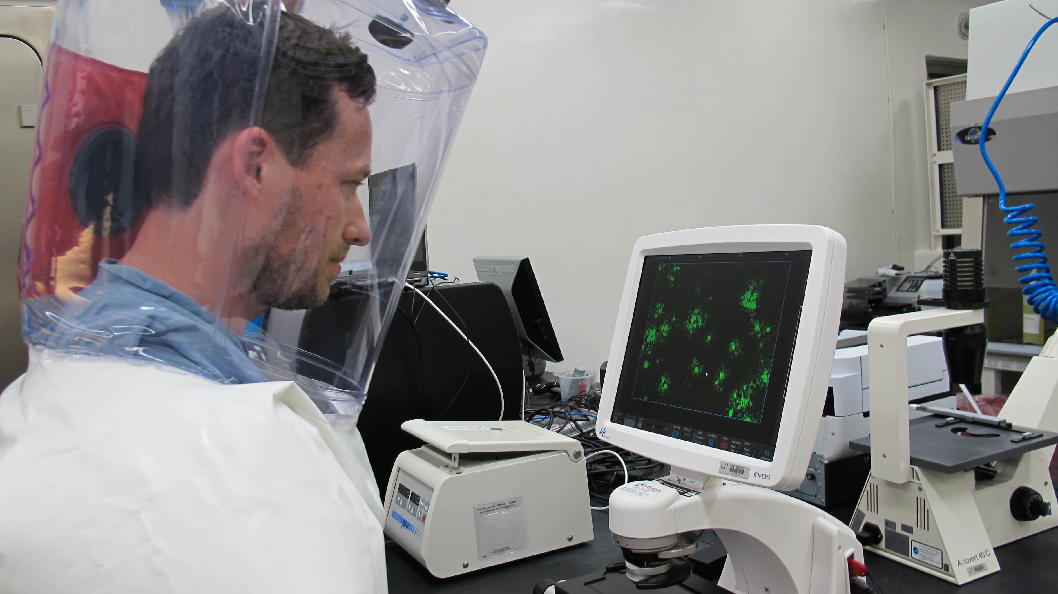 A target for an Ebola antiviral?