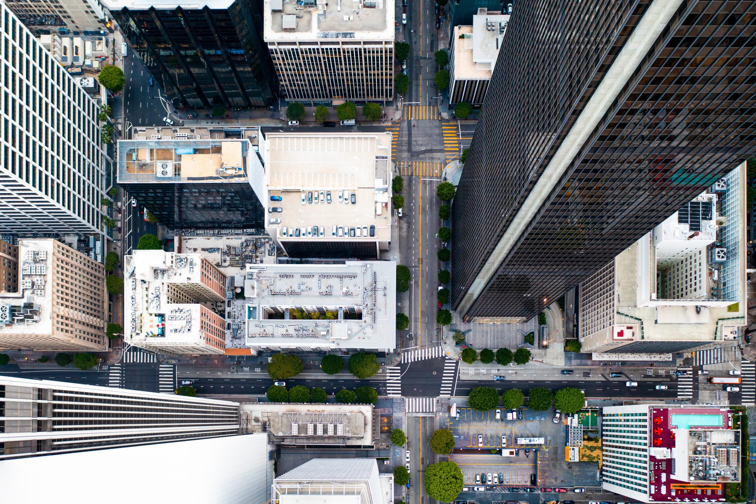 Starting a Business in Japan