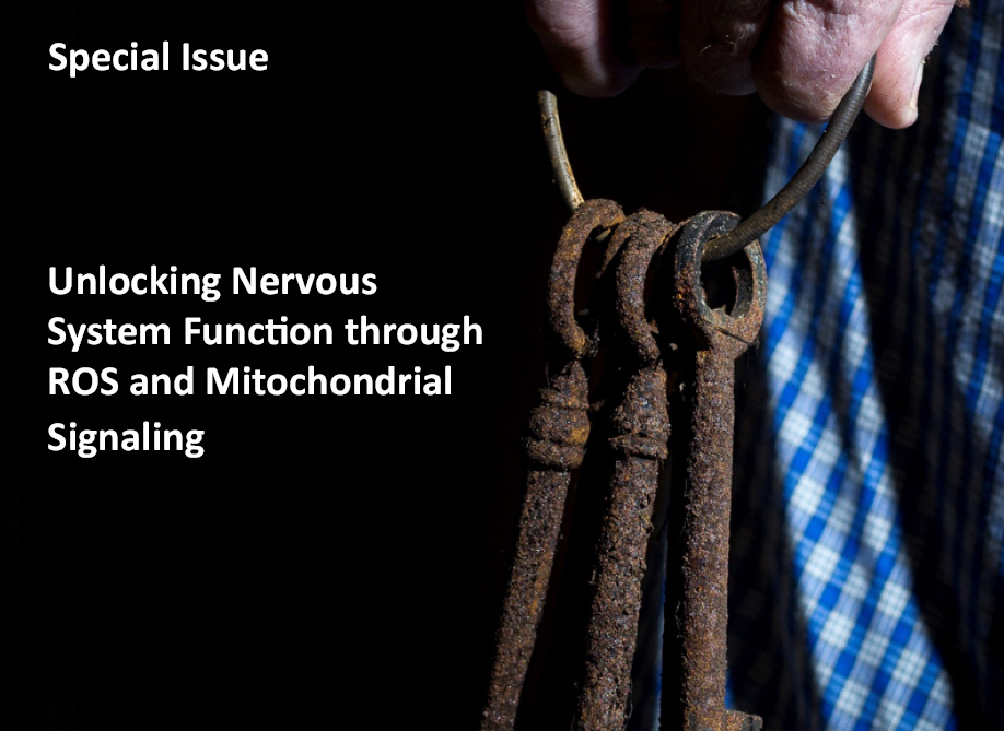 Unlocking nervous system function through ROS and mitochondrial signaling – a FEBS Letters Special Issue 