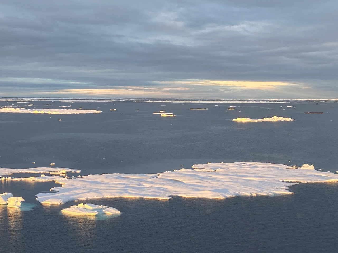 Warming Polar Water and increased presence of Atlantic Water impact sea ice along the east coast of Greenland 