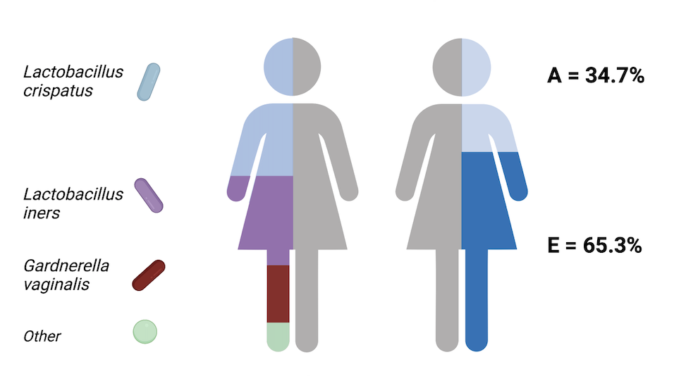 Hosting vaginal Lactobacillus crispatus may be in your genes