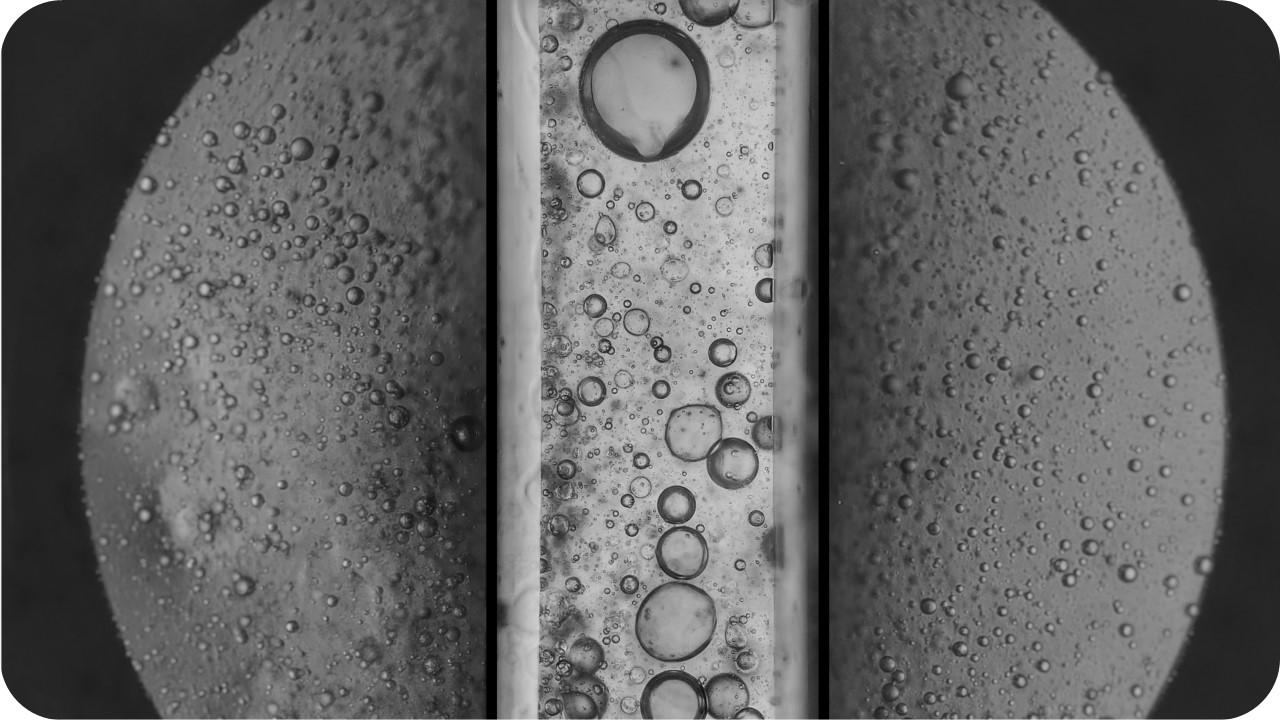 Capillary flow experiments (Capflex)- A brand new tool for quantitative characterization of protein liquid-liquid phase separation