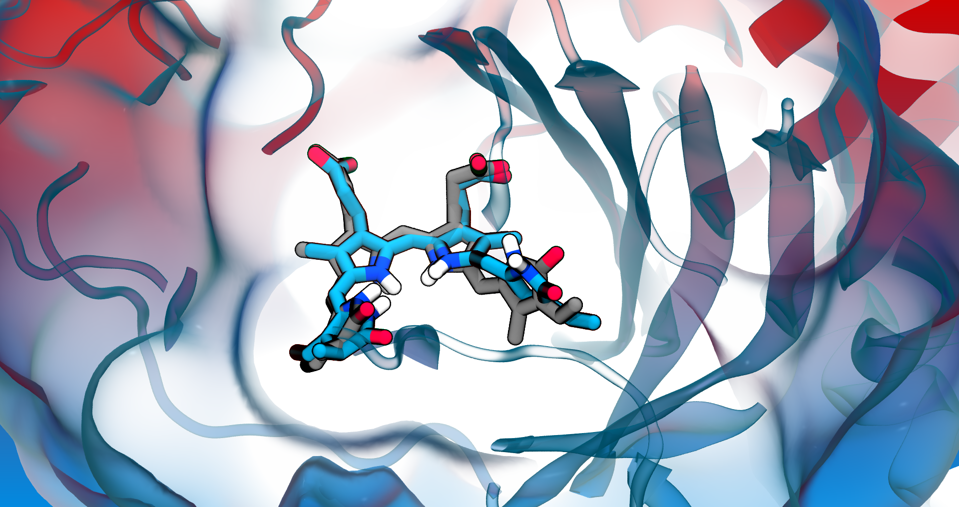 A molecular insight into phytochromes' photoactivation