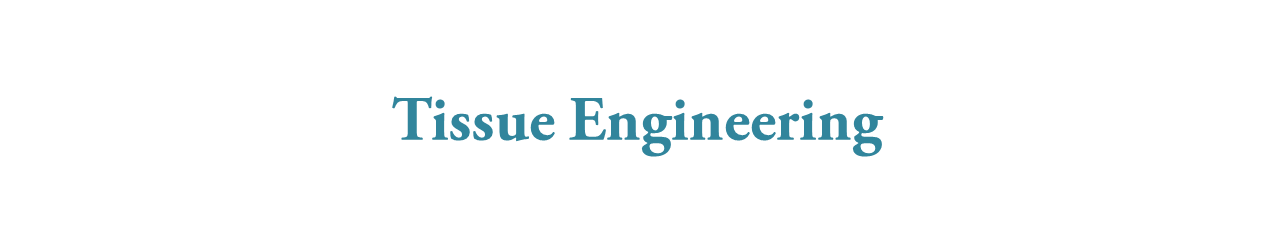 Recalling the Past and Transforming the Future of Tissue Engineering— Opportunities for Women in Tissue Engineering