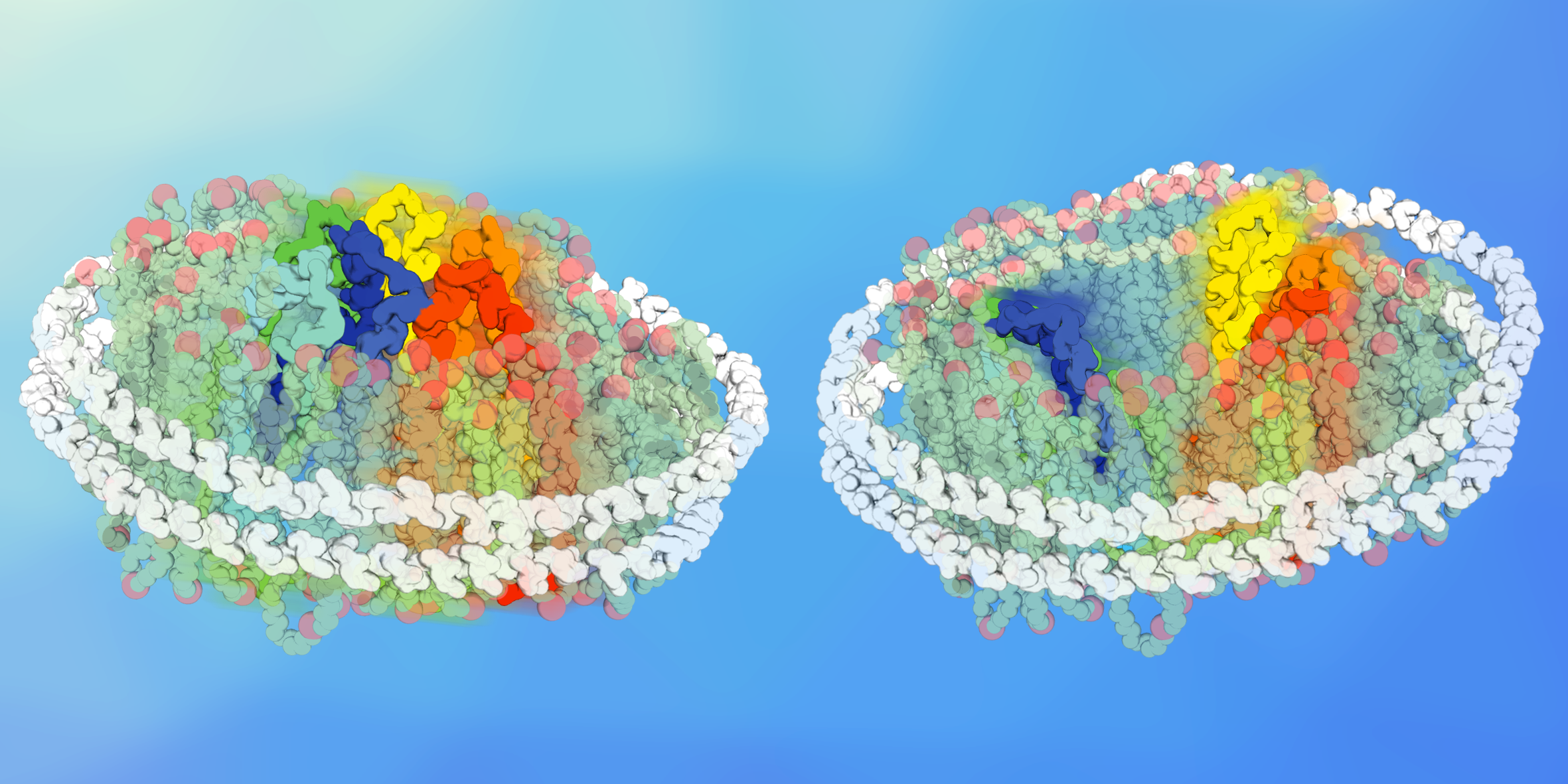 Love your lipids – they make your proteins work better!