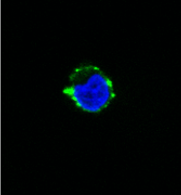Top shelf goal for proteomics using SLAPSHOT