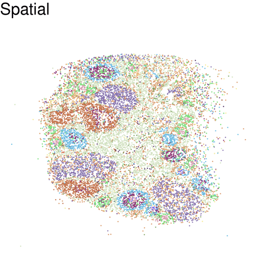 Changing Conversations: Immune Cells in the Aging Ovary