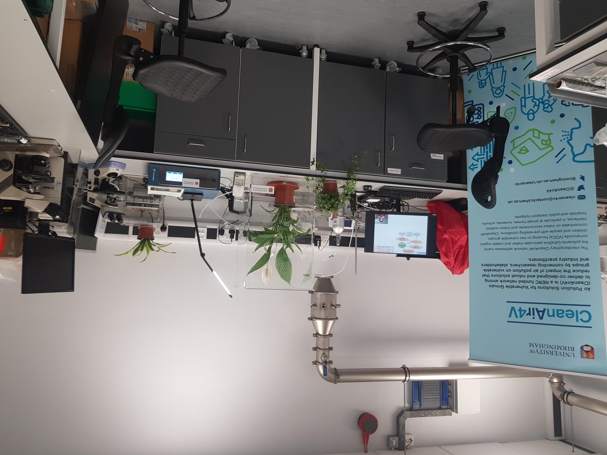 Houseplants can improve air quality indoors, but by how much?