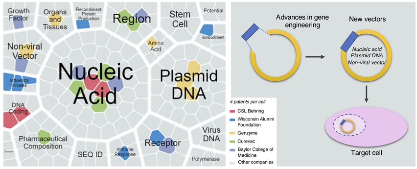 Evolution of Gene Therapy products : promising non-viral vector prospects from innovation patents