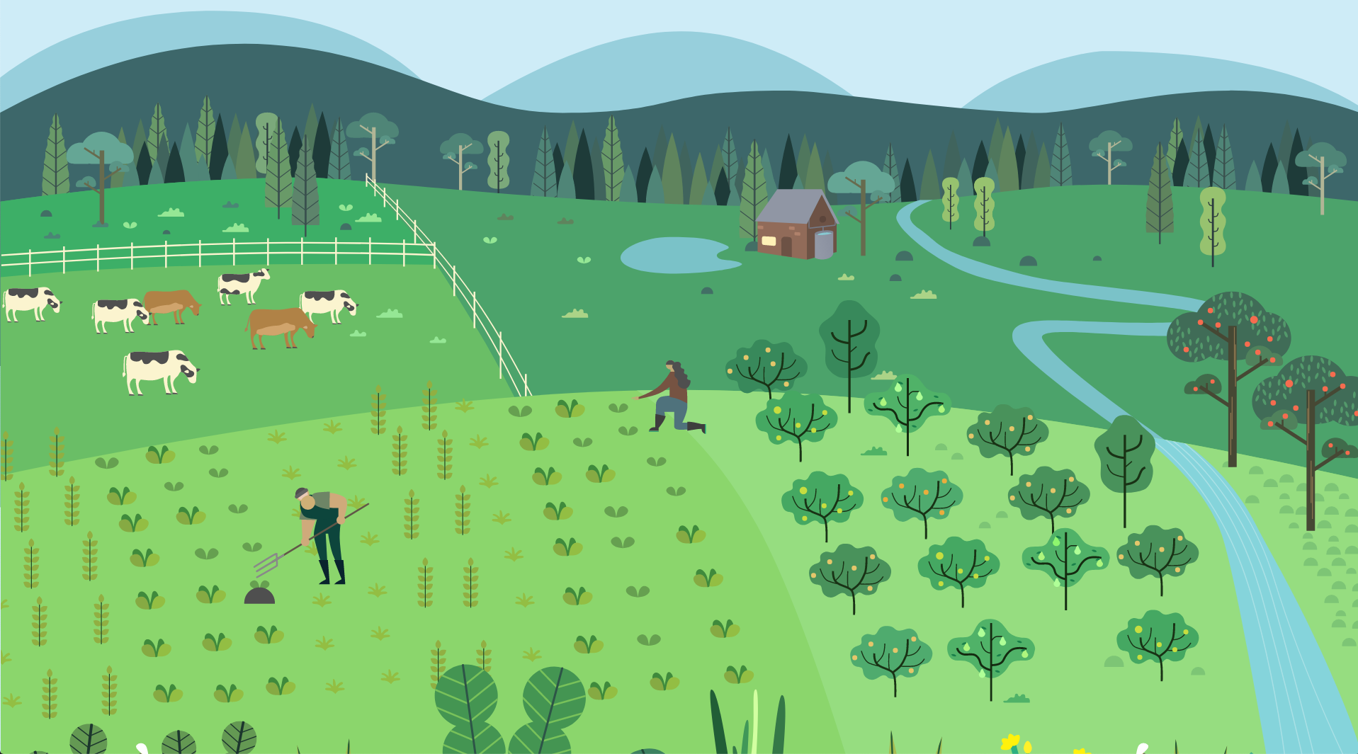 The Energy Footprint of Land Grabs