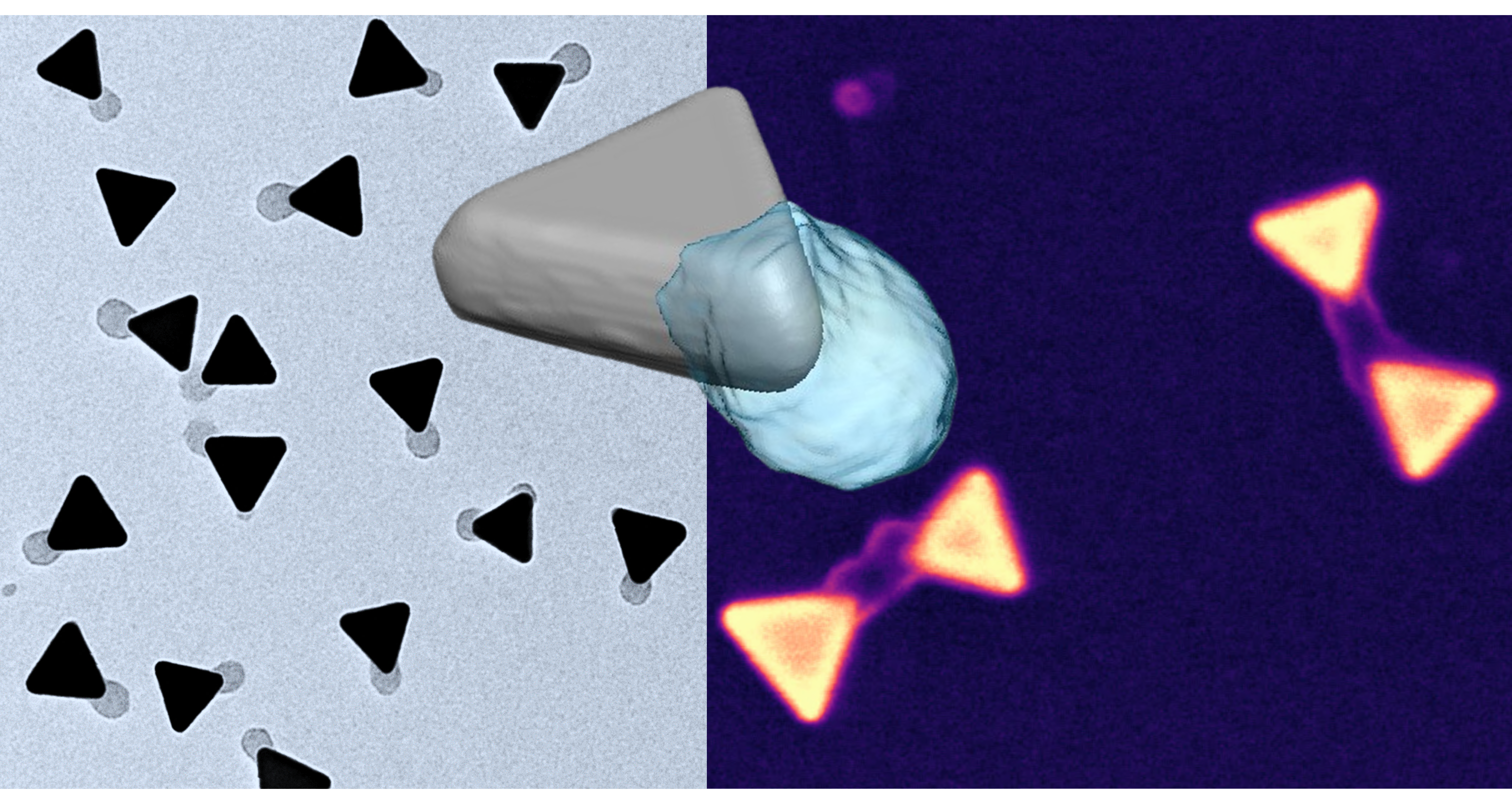 Supramolecular “Bandwagoning”: Symmetry breaking in patch formation on nanoparticles
