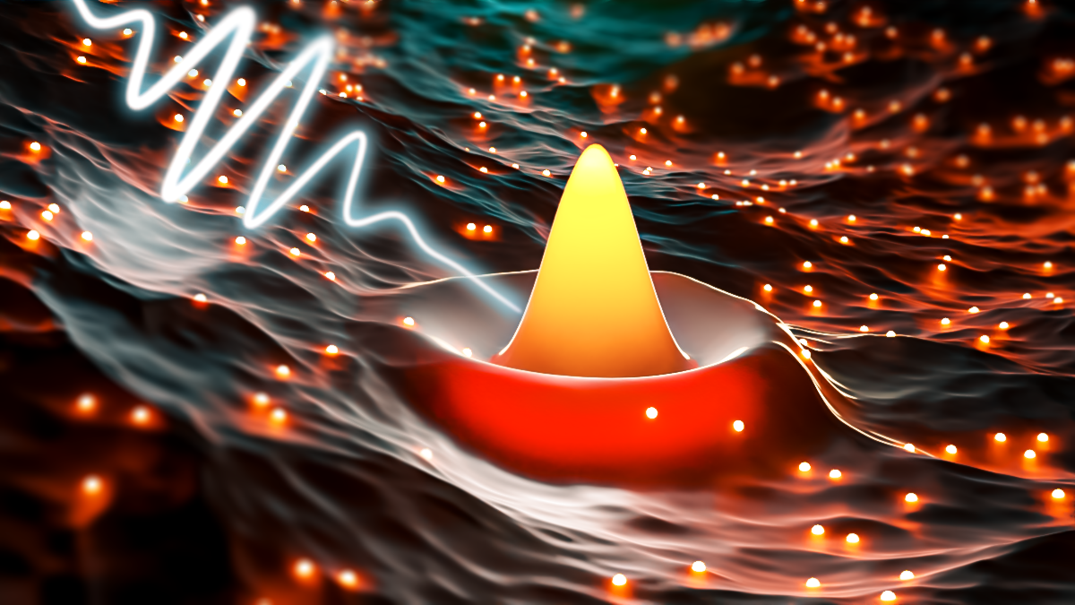 Fluctuations and Response in a Quantum Gas of Light